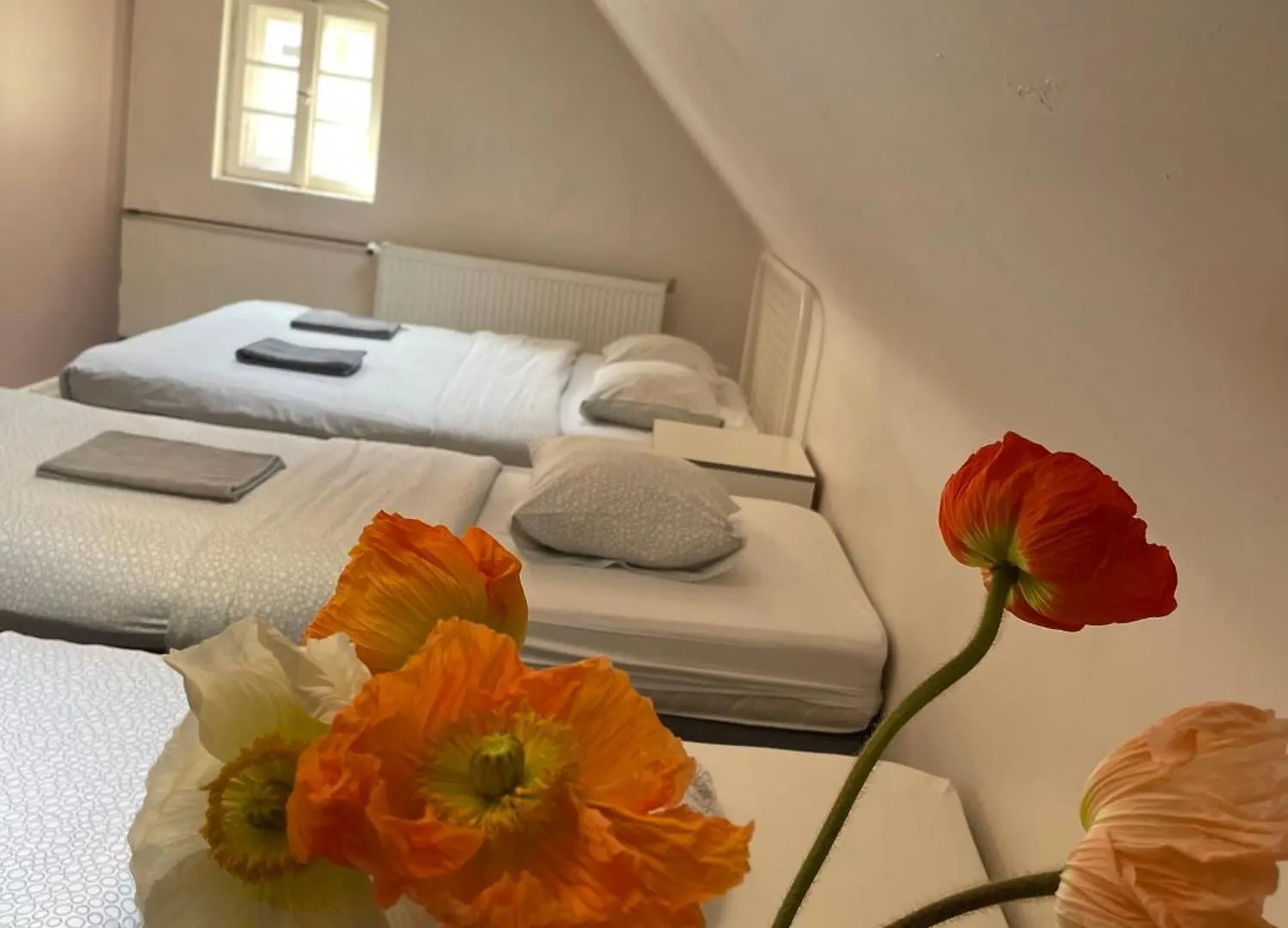 Habitación en casa particular Kolysanka Private Rooms In Old Town Poznan